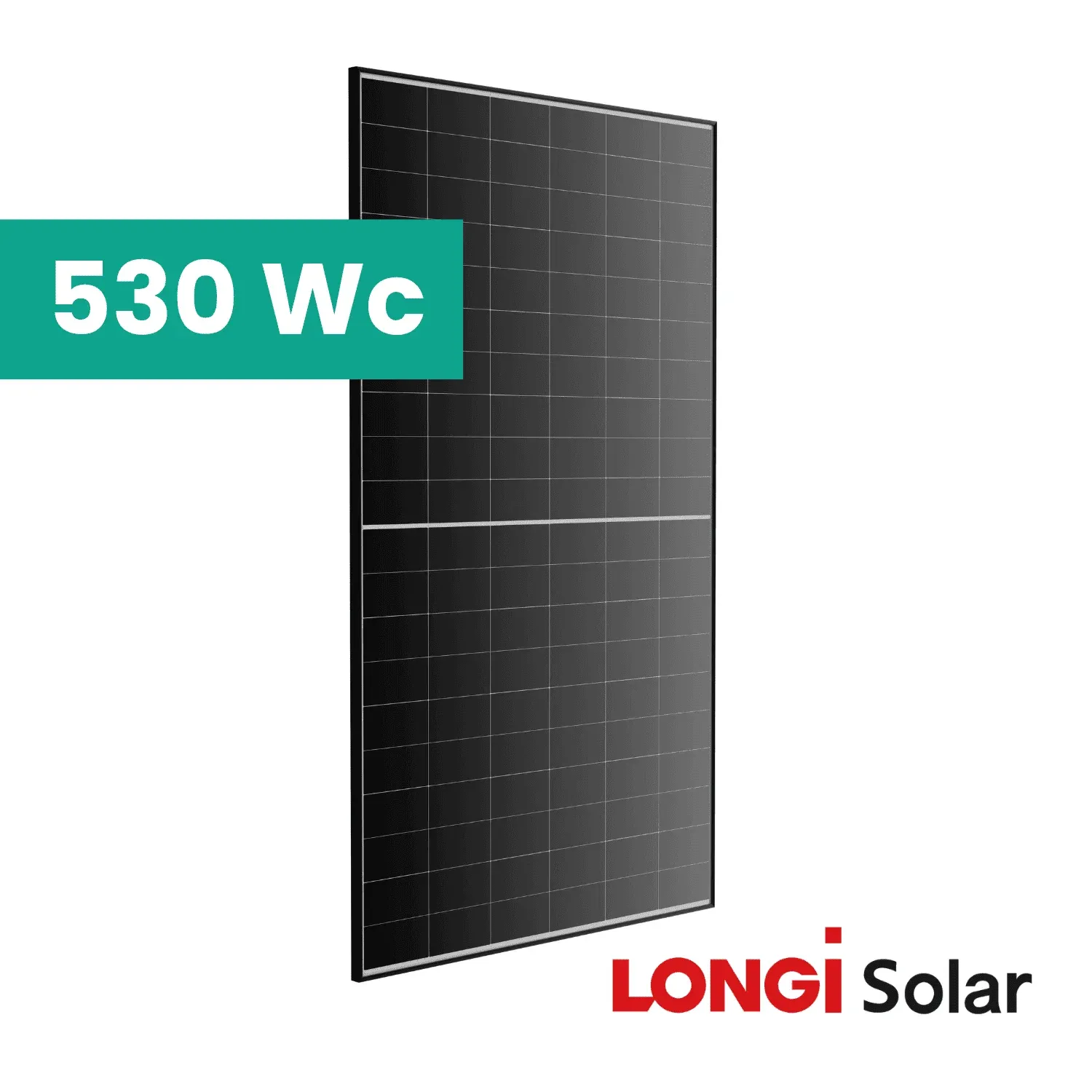 530 LONGI (1)