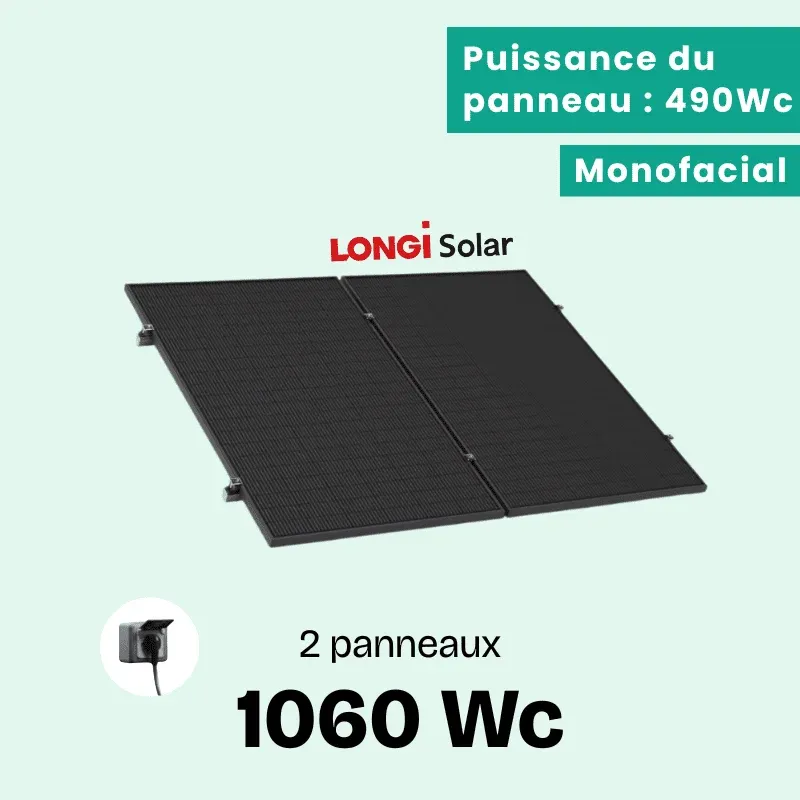 LONGI 1060 BON (1)