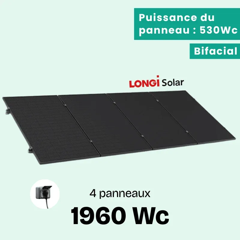 LONGI 1960 BON (1)