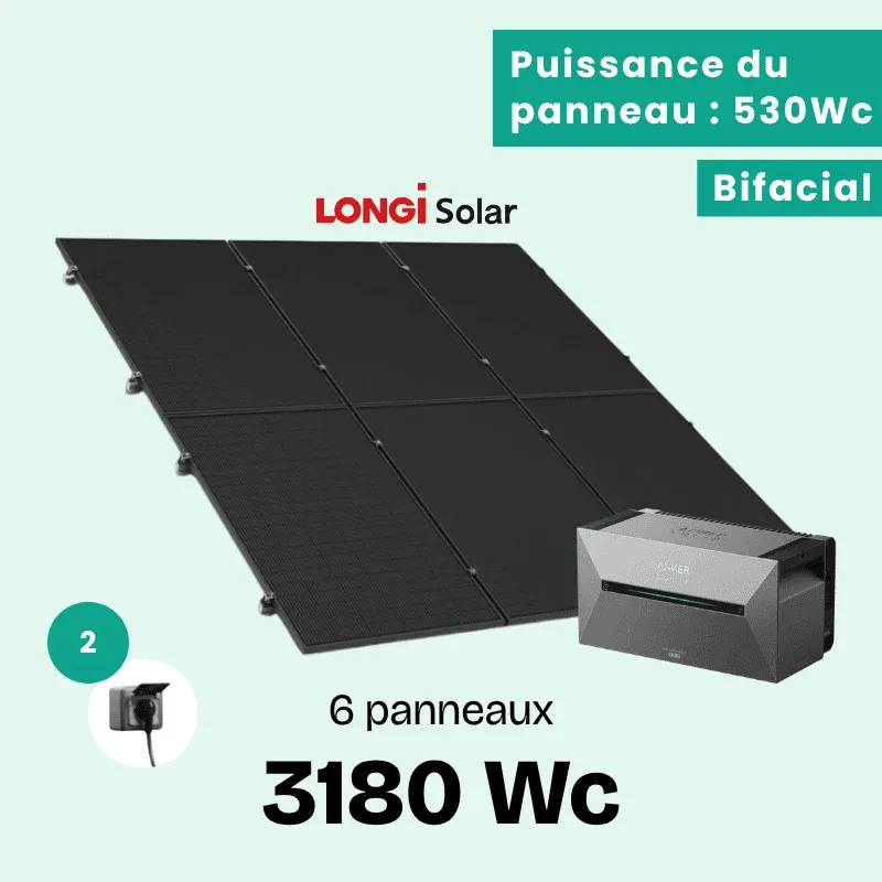 LONGI 3180 BATT BON (1)