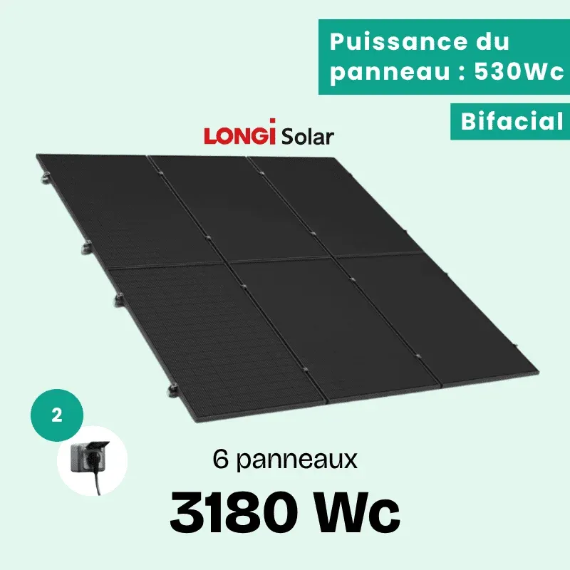 LONGI 3180 BON (1)
