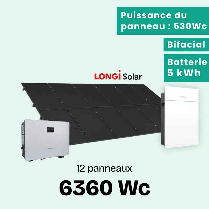 LONGI 6360 + BATT BON (1) (1)