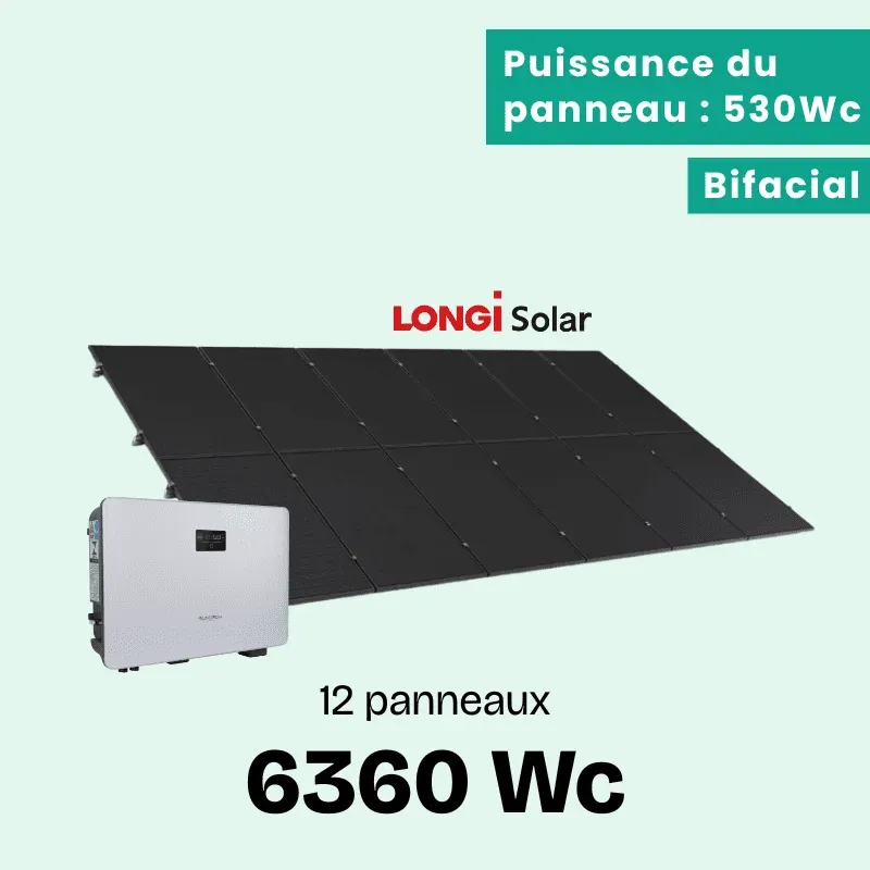 LONGI 6360 BON (1)