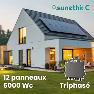 panneaux solaires triphasé installateur professionnel
