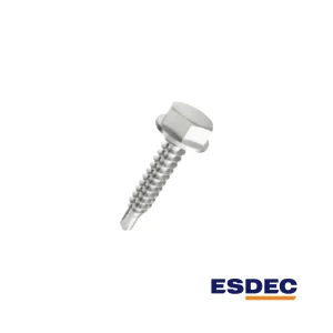 ESDEC - Vis autoperceuse 6,3x42 - SW10/T30