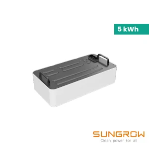 extension batterie sbh